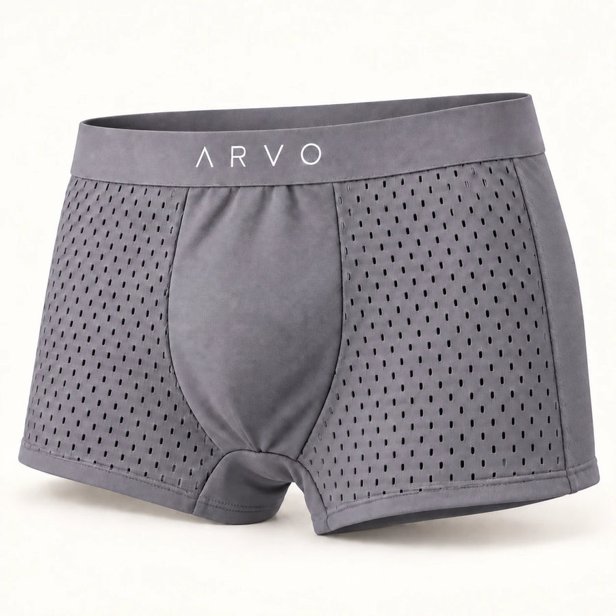ARVO Everyday Trunks - Grey