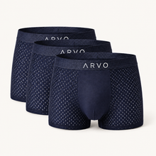 ARVO Everyday Trunks - Grey