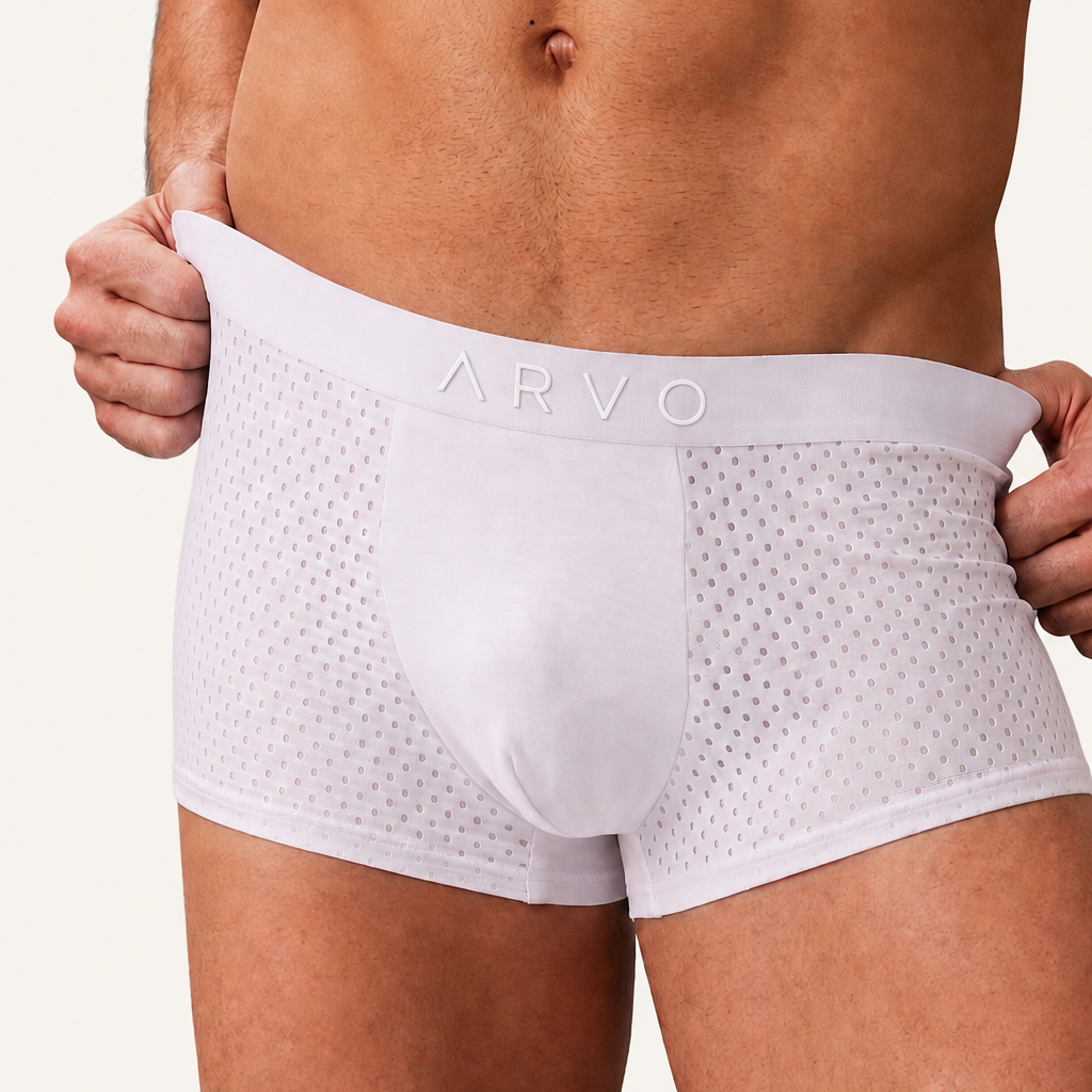 ARVO Everyday Trunks - Grey