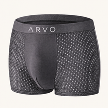 ARVO Everyday Trunks - Grey