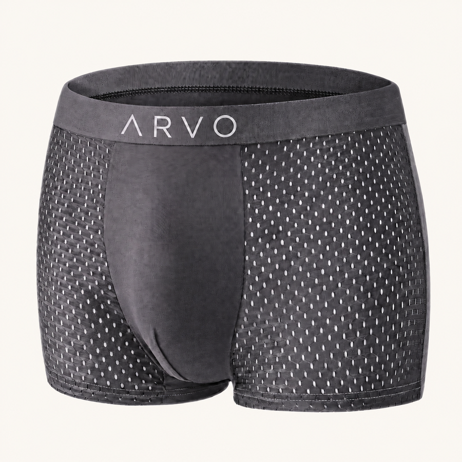 ARVO Everyday Trunks - Grey