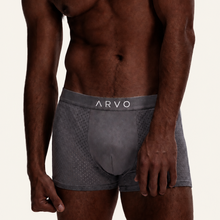 ARVO Everyday Trunks - Grey