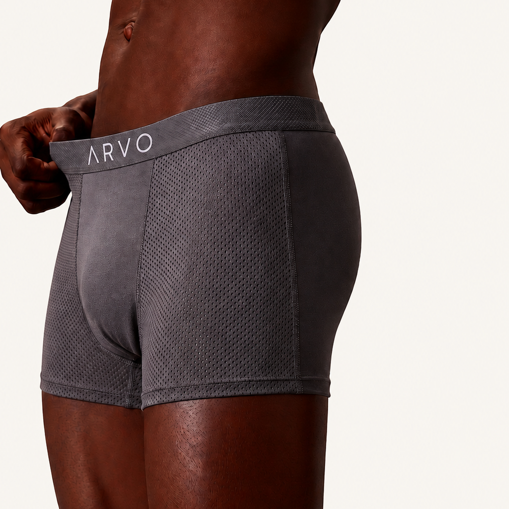 ARVO Everyday Trunks - Grey
