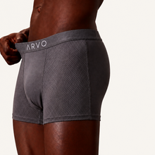 ARVO Everyday Trunks - Grey