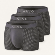 ARVO Everyday Trunks - Grey