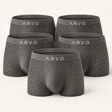 ARVO Everyday Trunks - Grey