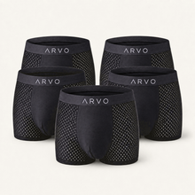 ARVO Everyday Trunks - Grey
