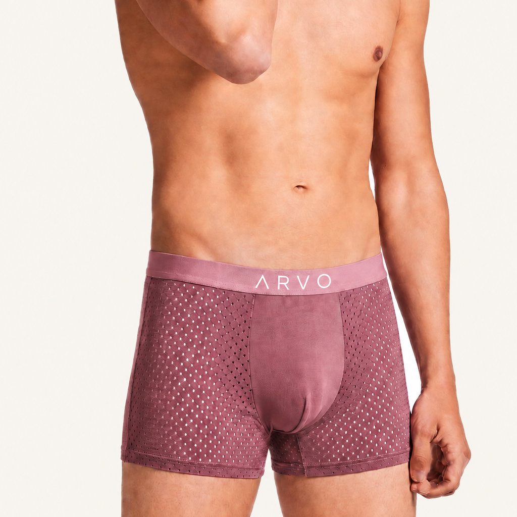 ARVO Everyday Trunks - Grey