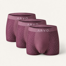 ARVO Everyday Trunks - Grey