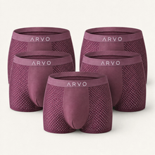 ARVO Everyday Trunks - Grey